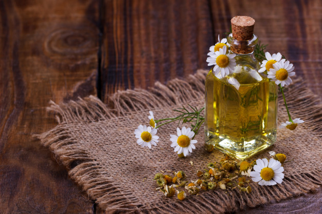 Qu'est-ce que l'huile essentielle de camomille romaine ?
